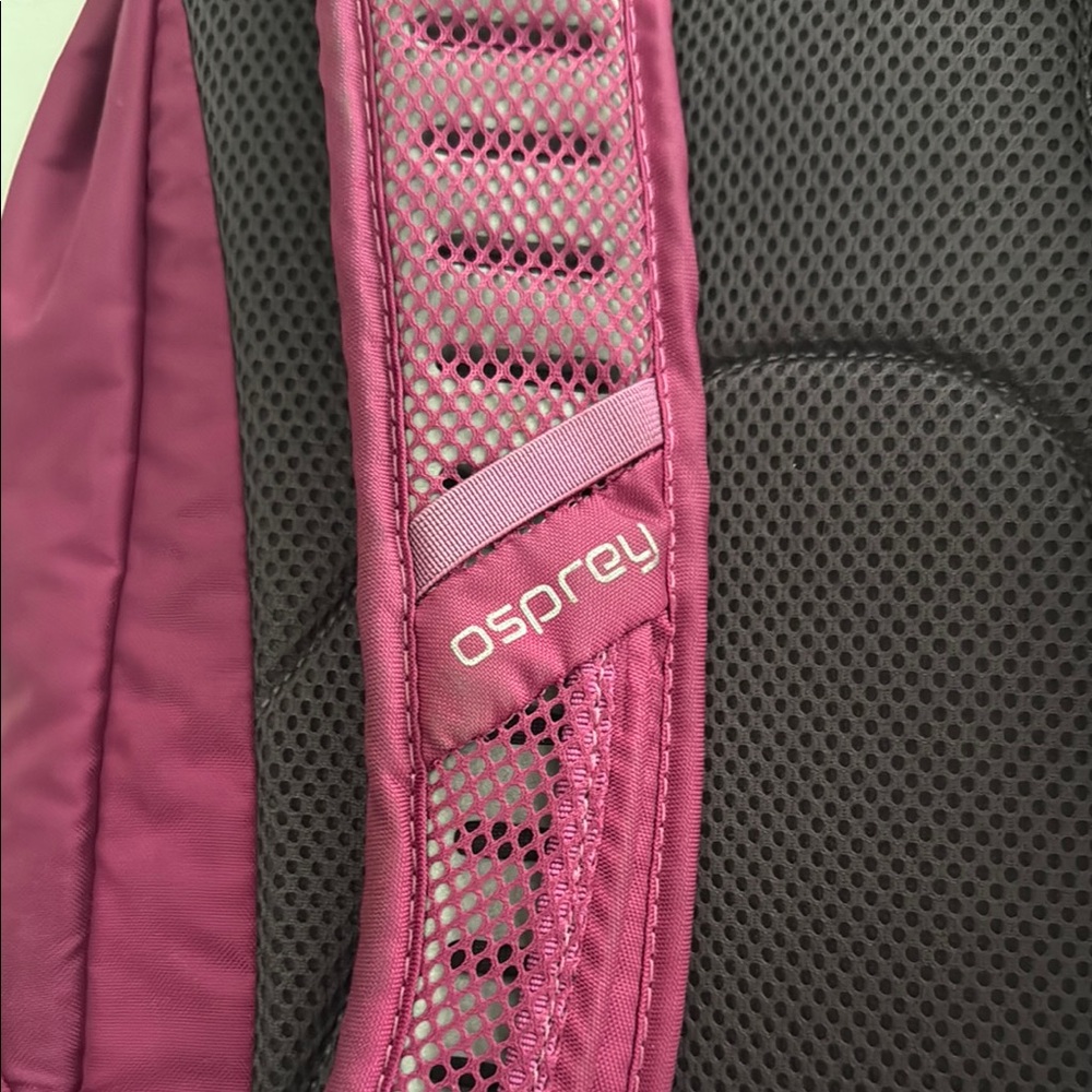 Osprey Axis Backpack in Deep Plum - Picture 8 of 14